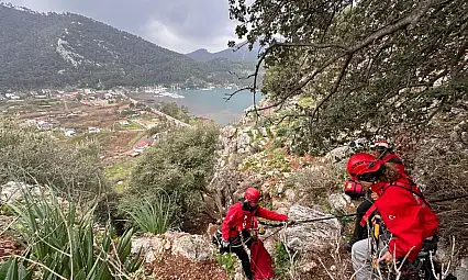 Marmaris'te kayalıklarda mahsur kalan köpek, keçi ve oğlak kurtarıldı