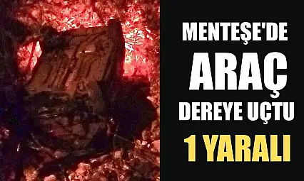 Menteşe'de araç dereye uçtu: 1 yaralı