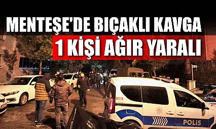 Menteşe'de bıçaklı kavga:1 kişi ağır yaralı