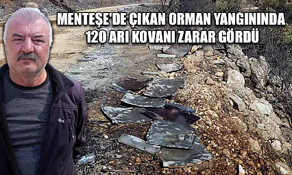 Menteşe'de çıkan orman yangınında 120 arı kovanı zarar gördü