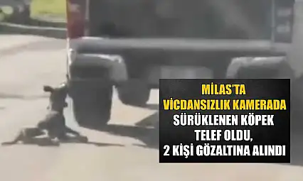 Milas'ta vicdansızlık kamerada: Sürüklenen köpek telef oldu, 2 kişi gözaltına alındı