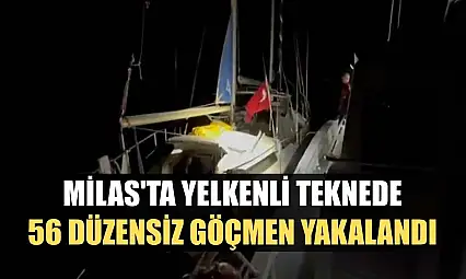 Milas'ta yelkenli teknede 56 düzensiz göçmen yakalandı