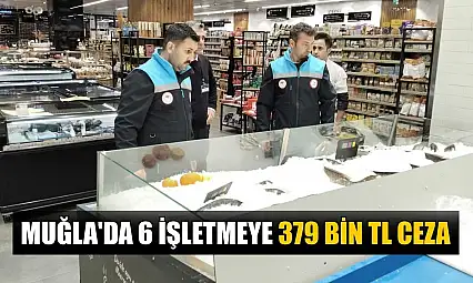 Muğla'da 6 işletmeye 379 bin TL ceza