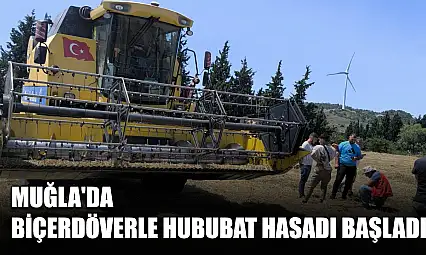 Muğla'da Biçerdöverle Hububat Hasadı Başladı