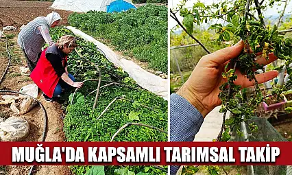 Muğla'da kapsamlı tarımsal takip