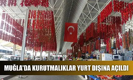 Muğla'da kurutmalıklar yurt dışına açıldı