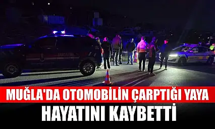 Muğla'da otomobilin çarptığı yaya hayatını kaybetti