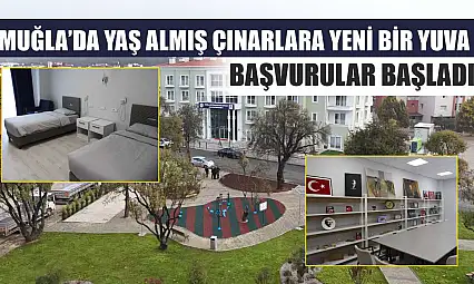 Muğla'da Yaş Almış Çınarlara Yeni Bir Yuva: Başvurular Başladı