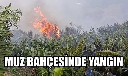 Muz bahçesinde yangın