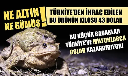 Ne altın ne gümüş! Türkiye'den ihraç edilen bu ürünün kilosu 43 dolar