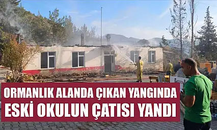 Ormanlık alanda çıkan yangında eski okulun çatısı yandı