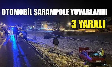 Otomobil şarampole yuvarlandı: 3 yaralı