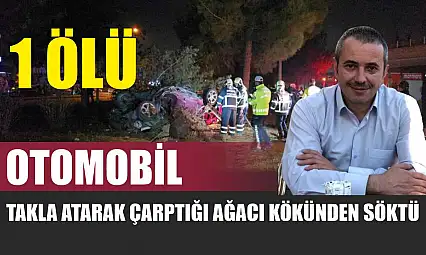 Otomobil, takla atarak çarptığı ağacı kökünden söktü: 1 ölü