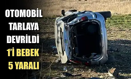 Otomobil tarlaya devrildi: 1'i bebek 5 yaralı