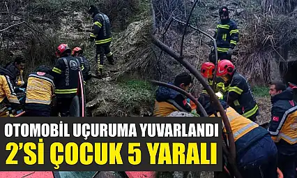 Otomobil uçuruma yuvarlandı: 2'si çocuk 5 yaralı