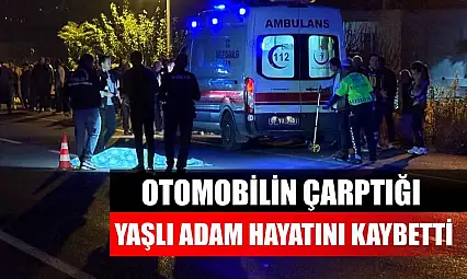 Otomobilin çarptığı yaşlı adam hayatını kaybetti