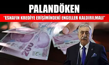 Palandöken: 'Esnafın krediye erişimindeki engeller kaldırılmalı'