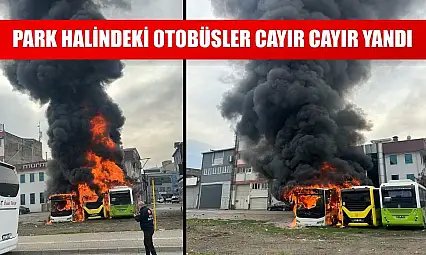 Park halindeki otobüsler cayır cayır yandı