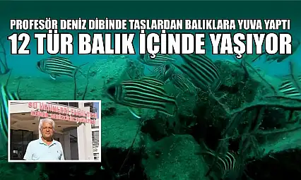 Profesör deniz dibinde taşlardan balıklara yuva yaptı: 12 tür balık içinde yaşıyor