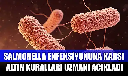 Salmonella enfeksiyonuna karşı altın kuralları uzmanı açıkladı