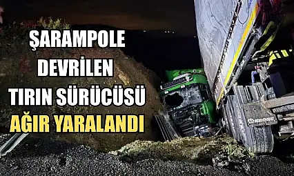 Şarampole devrilen tırın sürücüsü ağır yaralandı