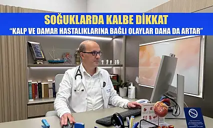 Soğuklarda kalbe dikkat: 'Kalp ve damar hastalıklarına bağlı olaylar daha da artar'
