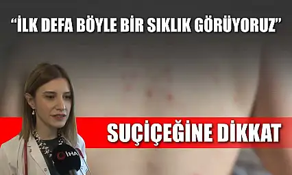 Suçiçeğine dikkat : 'İlk defa böyle bir sıklık görüyoruz'