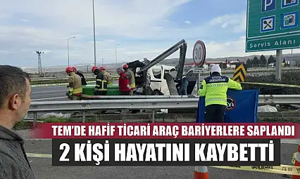 TEM'de hafif ticari araç bariyerlere saplandı, 2 kişi hayatını kaybetti