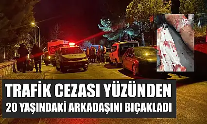 Trafik cezası yüzünden 20 yaşındaki arkadaşını bıçakladı