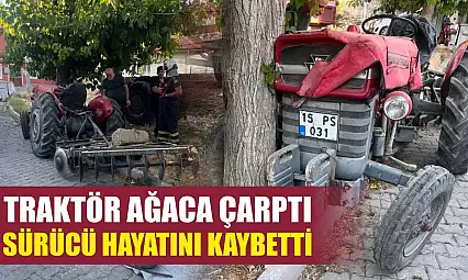 Traktör ağaca çarptı, sürücü hayatını kaybetti