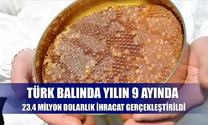 Türk balında yılın 9 ayında 23,4 milyon dolarlık ihracat gerçekleştirildi