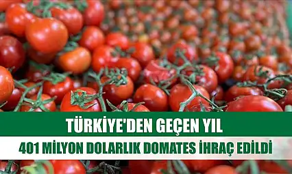 Türkiye'den geçen yıl 401 milyon dolarlık domates ihraç edildi