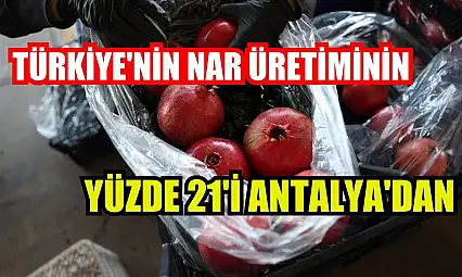 Türkiye'nin nar üretiminin yüzde 21'i Antalya'dan