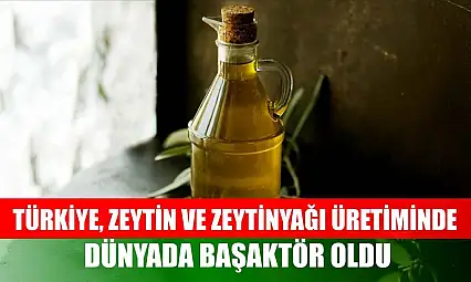 Türkiye, zeytin ve zeytinyağı üretiminde dünyada başaktör oldu