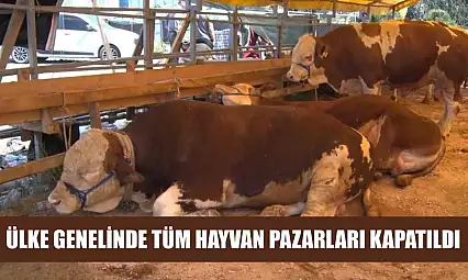 Ülke genelinde tüm hayvan pazarları kapatıldı