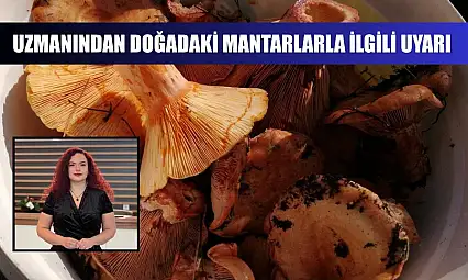 Uzmanından doğadaki mantarlarla ilgili uyarı