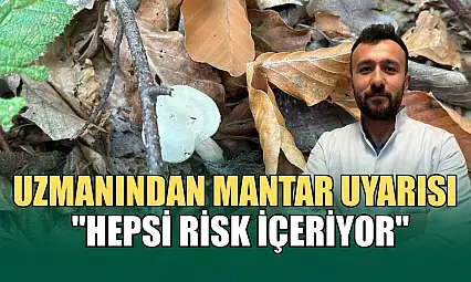 Uzmanından mantar uyarısı: 'Hepsi risk içeriyor'