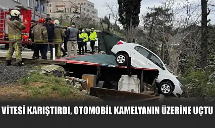 Vitesi karıştırdı, otomobil kamelyanın üzerine uçtu