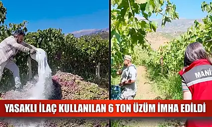 Yasaklı ilaç kullanılan 6 ton üzüm imha edildi