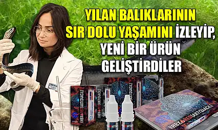 Yılan balıklarının sır dolu yaşamını izleyip, yeni bir ürün geliştirdiler