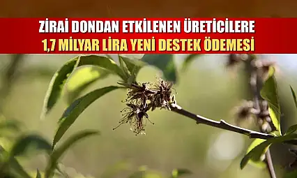 Zirai dondan etkilenen üreticilere 1,7 milyar lira yeni destek ödemesi