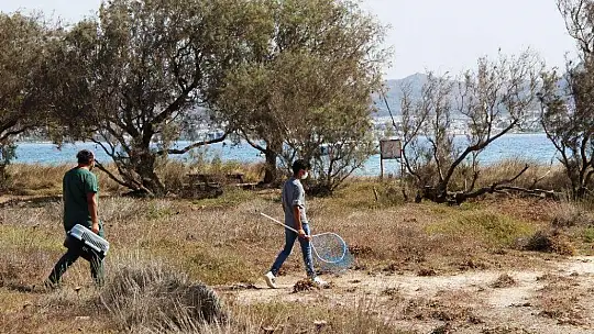 'Adada kedi var' ihbarı ekipleri seferber etti