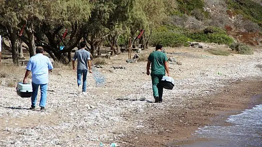 'Adada kedi var' ihbarı ekipleri seferber etti