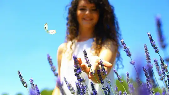 'MOR TARLALAR' GÜZELLİĞİYLE GÖZ KAMAŞTIRIYOR