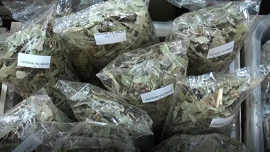 Aktarlar gribal enfeksiyonlar konusunda uyarıyor