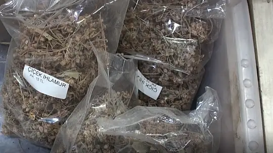 Aktarlar gribal enfeksiyonlar konusunda uyarıyor