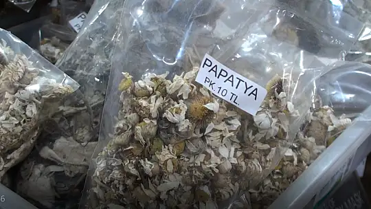 Aktarlar gribal enfeksiyonlar konusunda uyarıyor