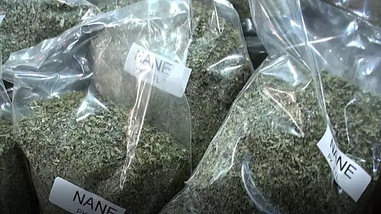 Aktarlar gribal enfeksiyonlar konusunda uyarıyor