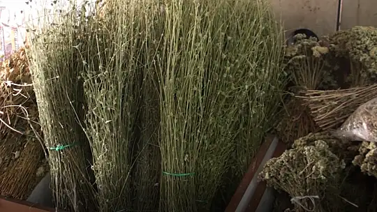 Aktarlar gribal enfeksiyonlar konusunda uyarıyor