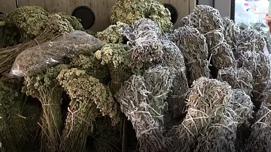 Aktarlar gribal enfeksiyonlar konusunda uyarıyor